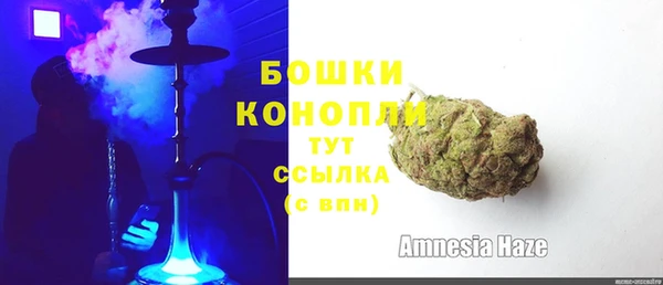 PSILOCYBIN Медвежьегорск