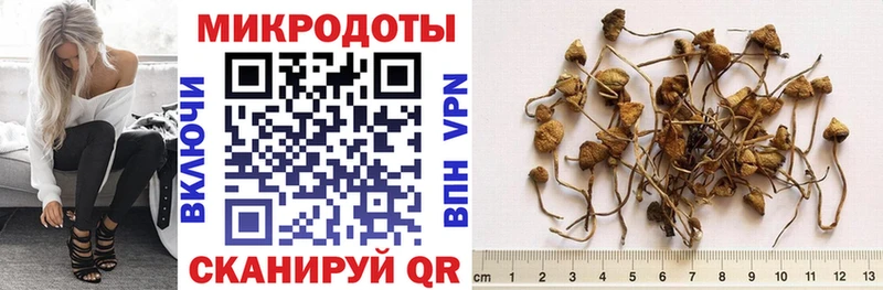где купить наркотик  Юрьевец  Галлюциногенные грибы ЛСД 